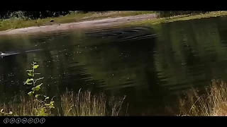 253 beach porn videos